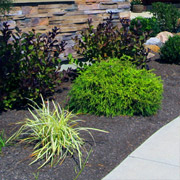 Dayton Mulch and Topsoil